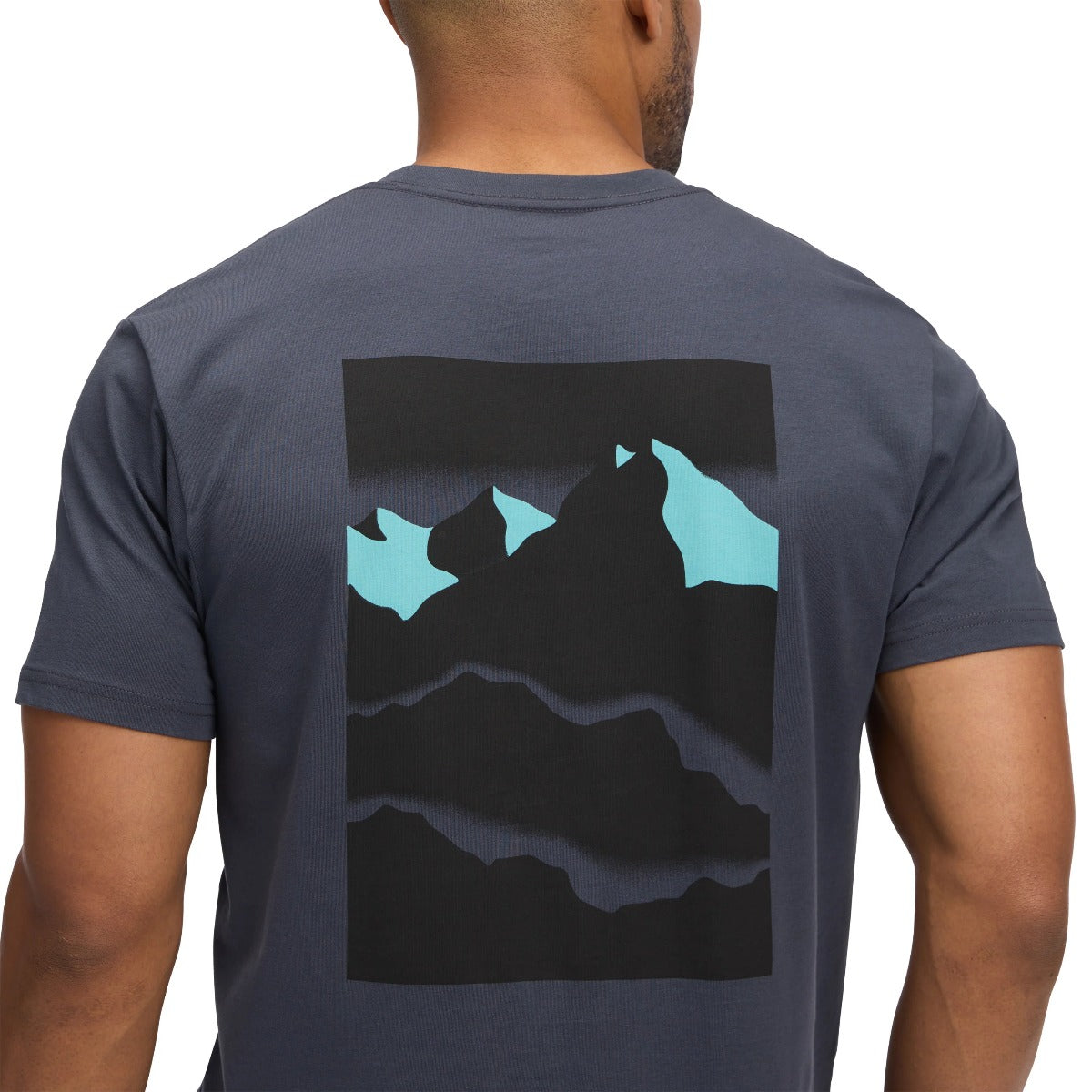 BLACK DIAMOND MOUNTAINSCAPE SS TEE
