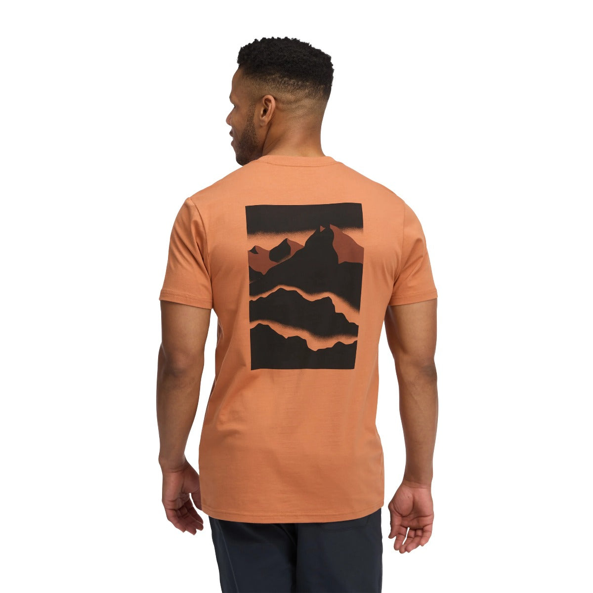 BLACK DIAMOND MOUNTAINSCAPE SS TEE