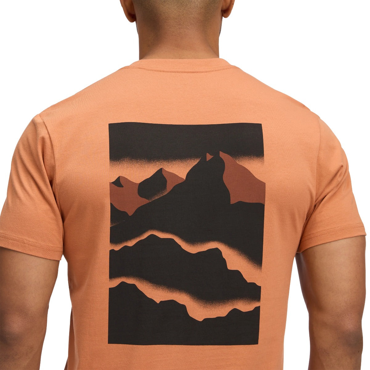 BLACK DIAMOND MOUNTAINSCAPE SS TEE