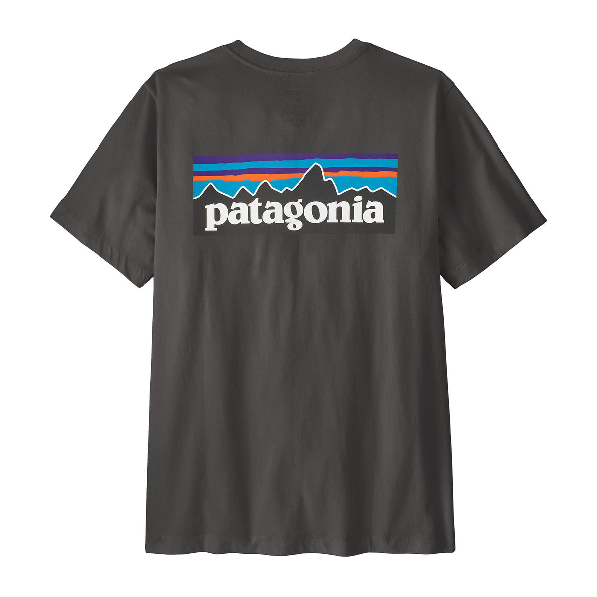 PATAGONIA MS P-6 LOGO T-SHIT