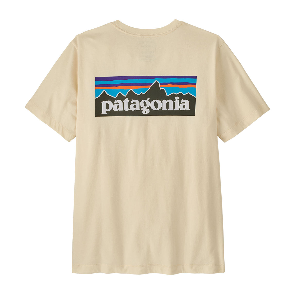 PATAGONIA MS P-6 LOGO T-SHIT