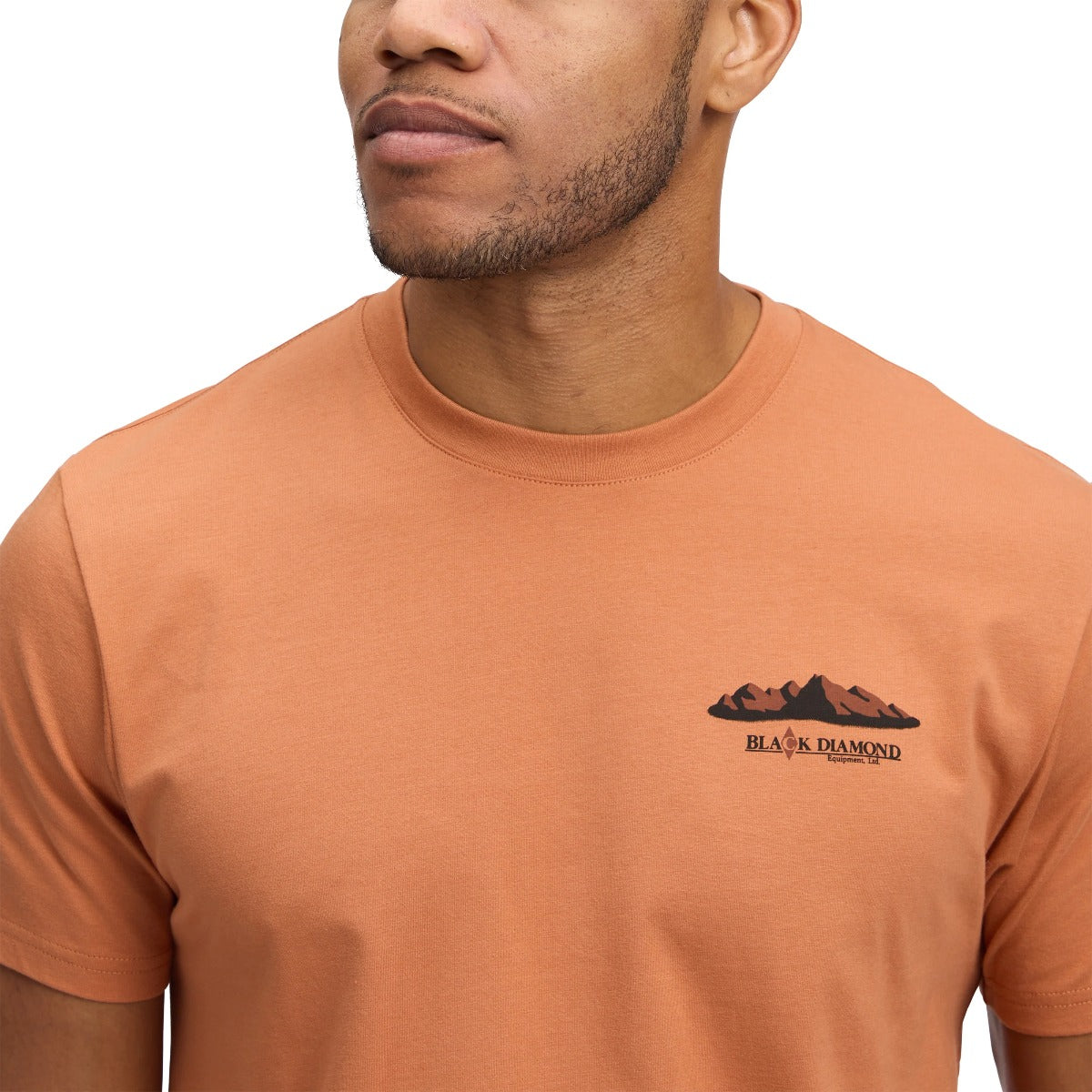 BLACK DIAMOND MOUNTAINSCAPE SS TEE