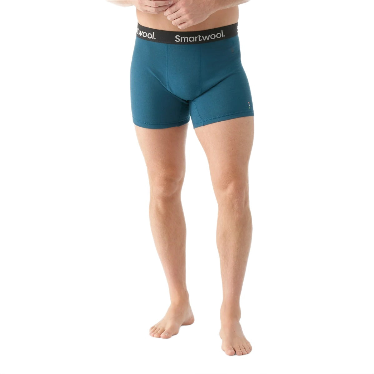 SMARTWOOL MERINO ACTIVE BOXER BRIEF