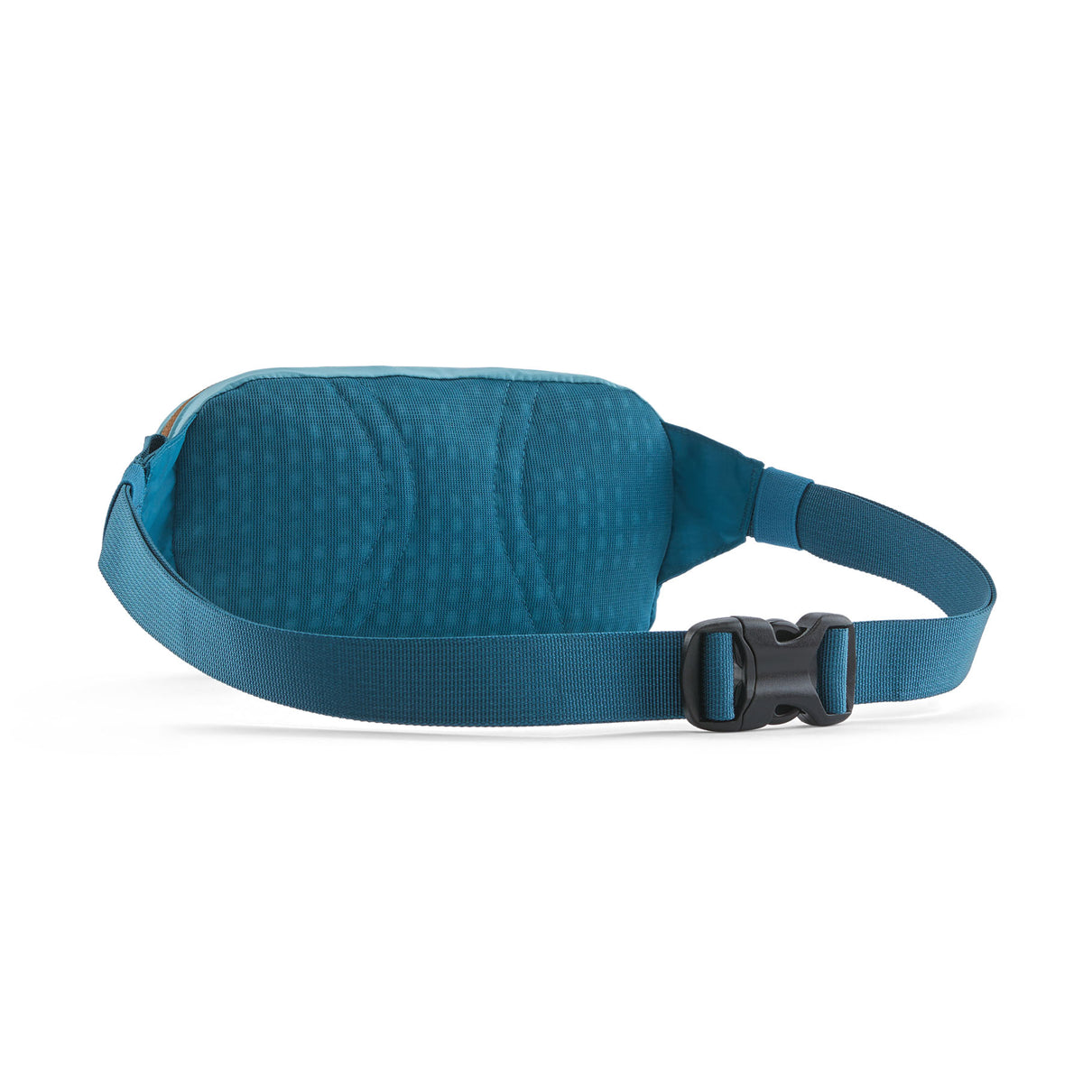 PATAGONIA TERRAVIA MINI HIP PACK