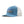 PATAGONIA P-6 LOGO TRUCKER