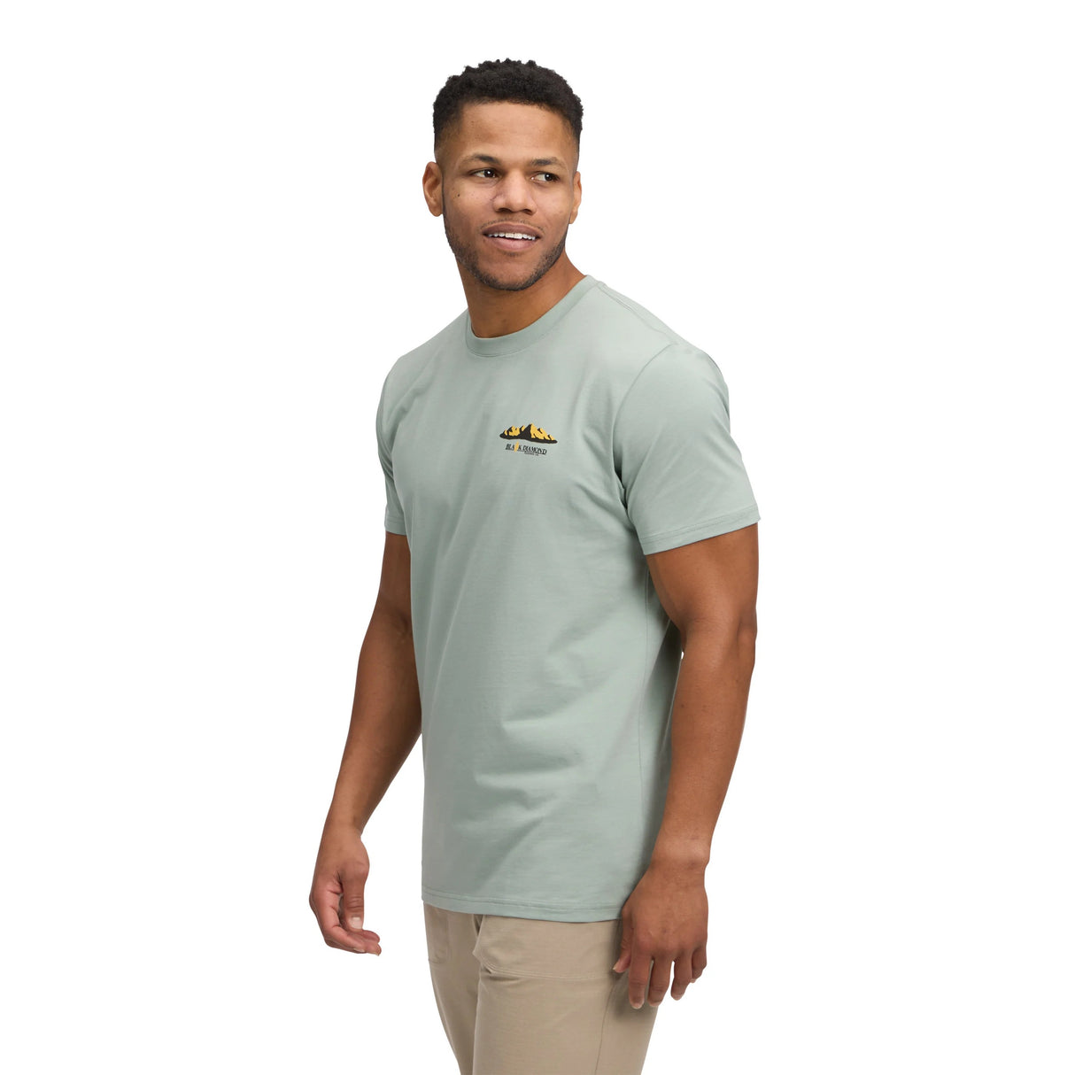 MOŠKA KRATKA MAJICA MOUNTAINSCAPE SS TEE