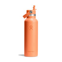 TERMO FLAŠKA 21 OZ STANDARD FLEX STRAW CAP - 621 ML