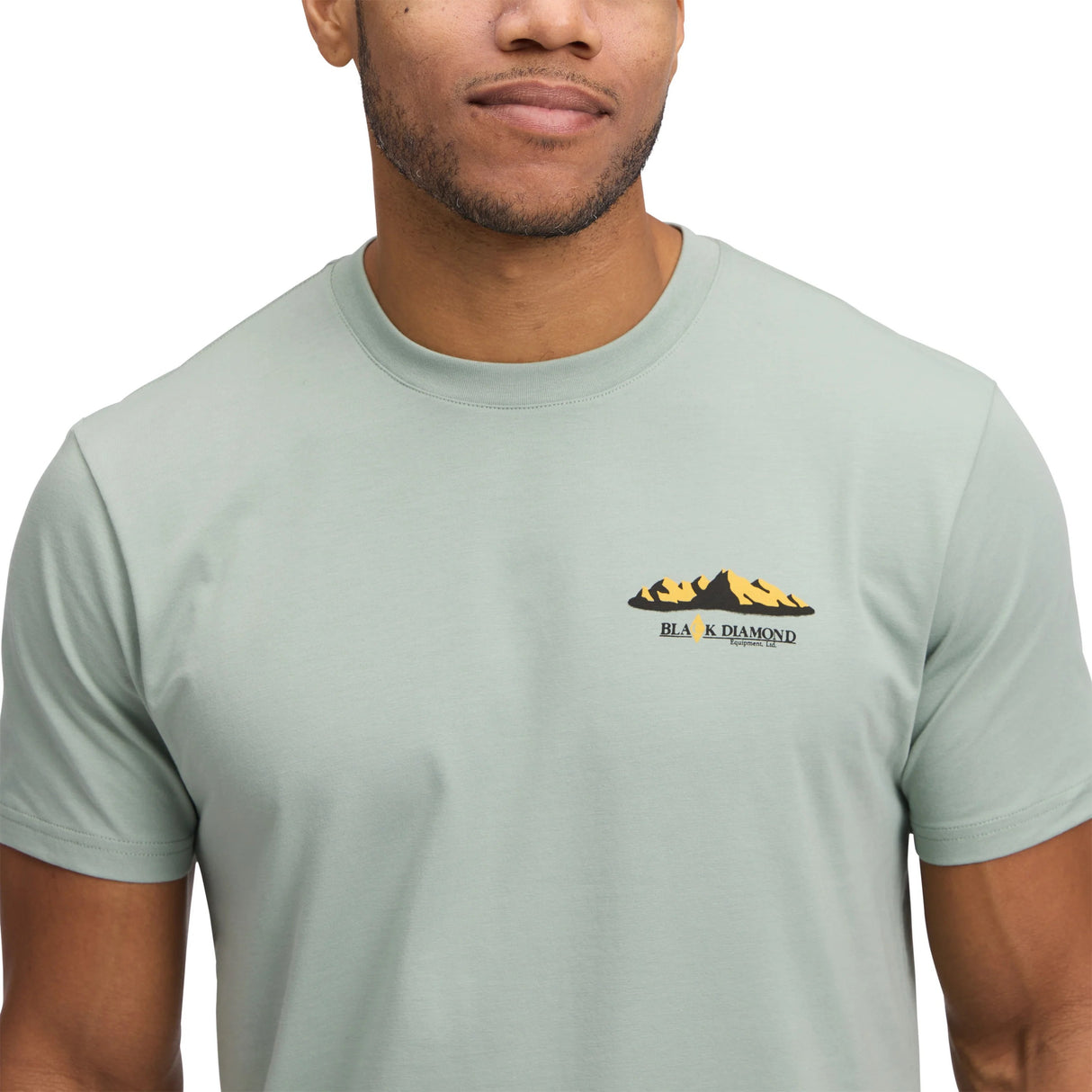 MOŠKA KRATKA MAJICA MOUNTAINSCAPE SS TEE