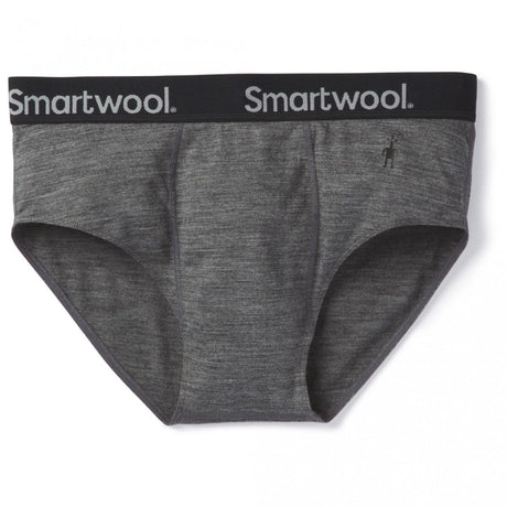 Smartwool Men’s Active Brief 